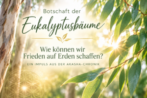 Frieden aus Sicht der Eukalyptusbäume