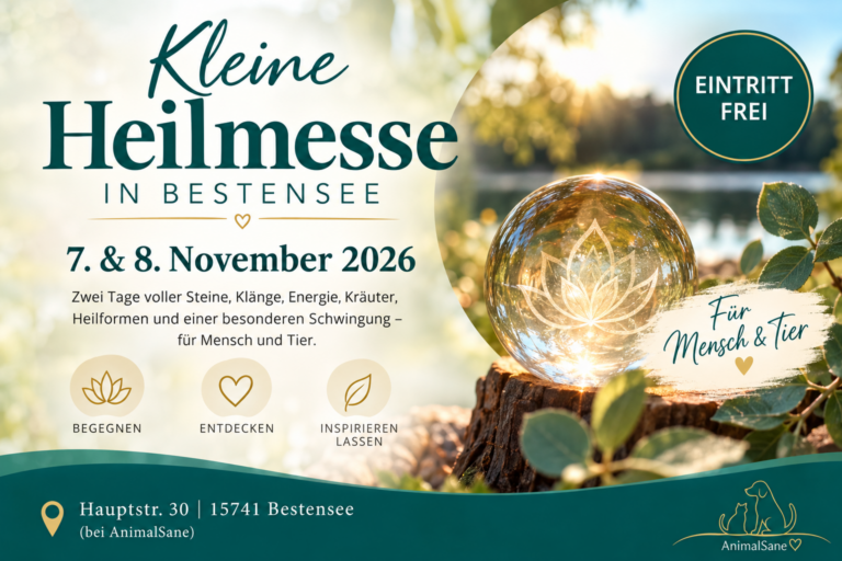 Kleine Heilmesse